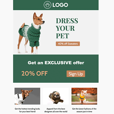 Pet Accessory Animal Costume Apparel Boutique Marketing